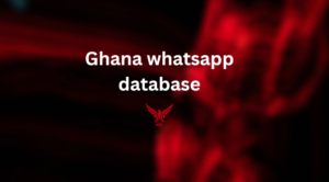 Ghana whatsapp database