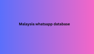Malaysia whatsapp database