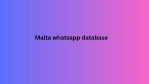 Malta whatsapp database